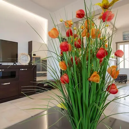 Apartment Family Next To Hall Gazi